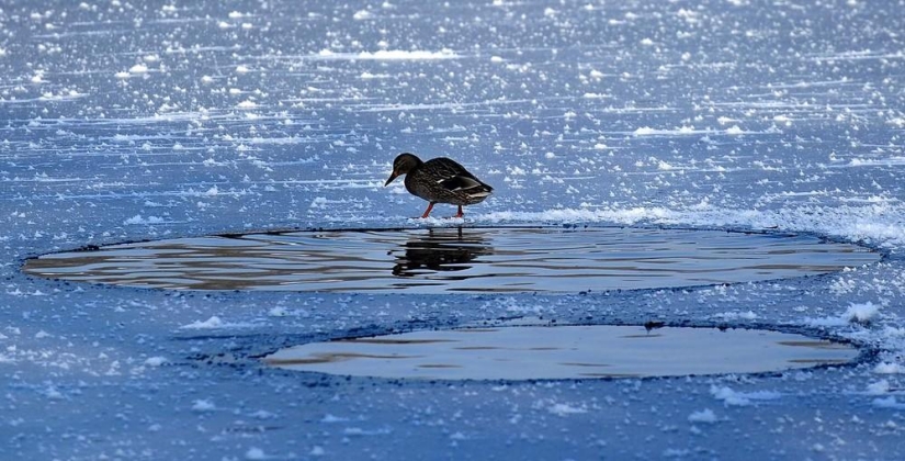 The beauty of winter