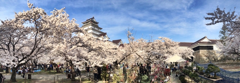 The best castles and temples of Japan