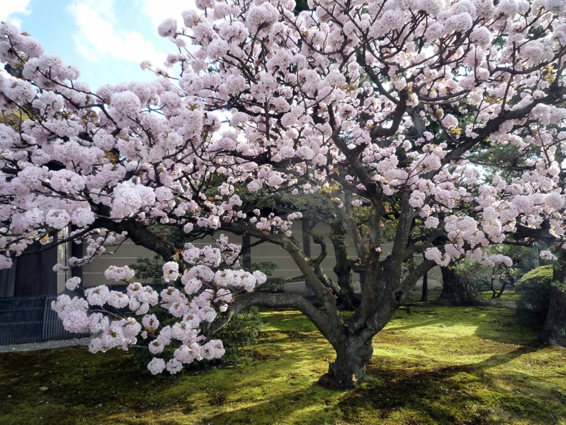 The best castles and temples of Japan