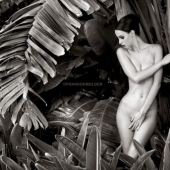 The best works of Frank De Mulder, the most famous nude photographer
