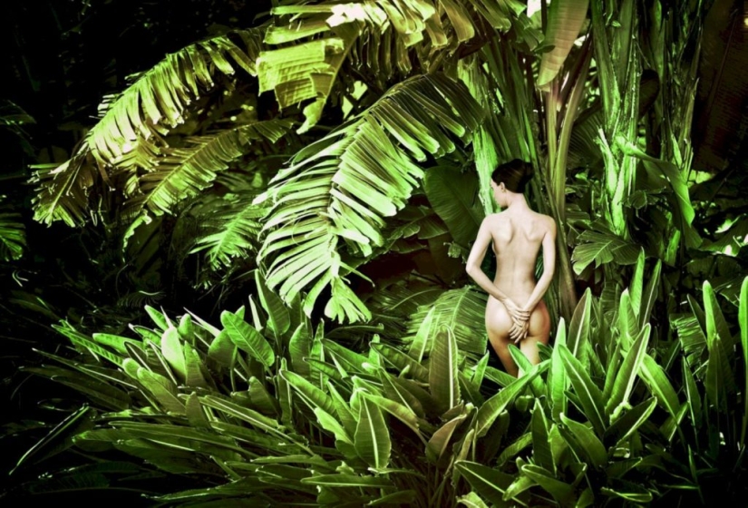 The best works of Frank De Mulder, the most famous nude photographer