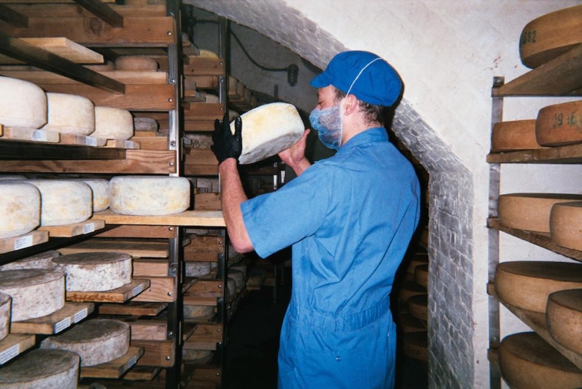 The Cheese Hole: A Day in the Life of a Brooklyn Cheesemaker
