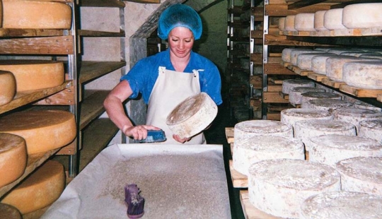 The Cheese Hole: A Day in the Life of a Brooklyn Cheesemaker The Cheese Hole: A Day in the Life of a Brooklyn Cheesemaker