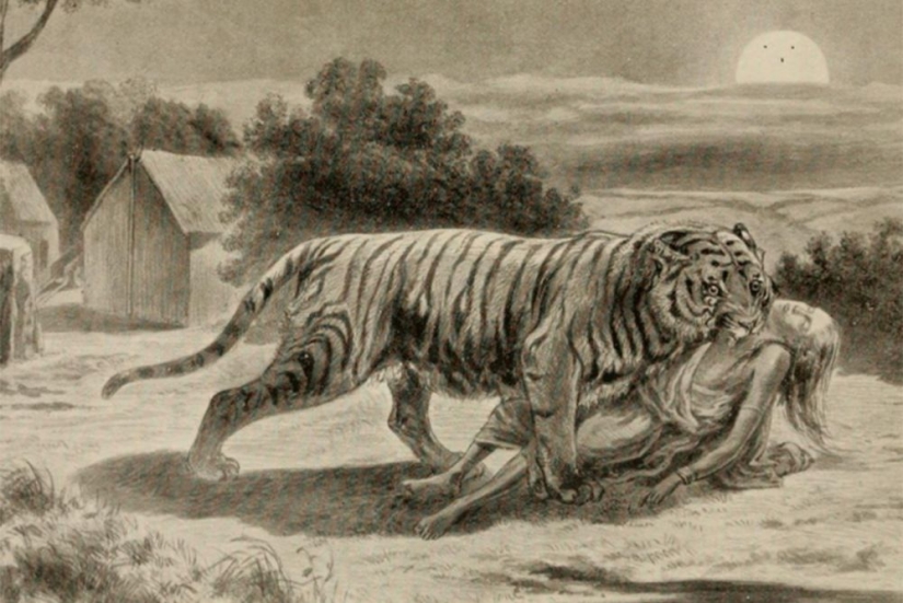 The Demon of Champavata - the story of the most bloodthirsty man-eating tiger in history The Demon of Champavata - the story of the most bloodthirsty man-eating tiger in history