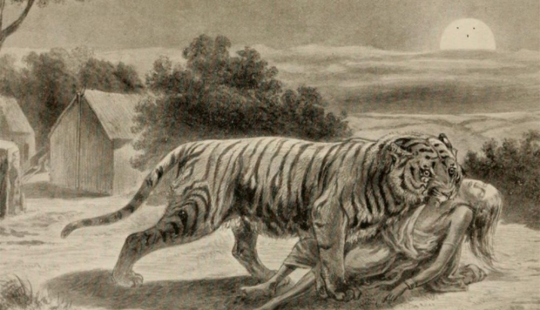 The Demon of Champavata - the story of the most bloodthirsty man-eating tiger in history The Demon of Champavata - the story of the most bloodthirsty man-eating tiger in history