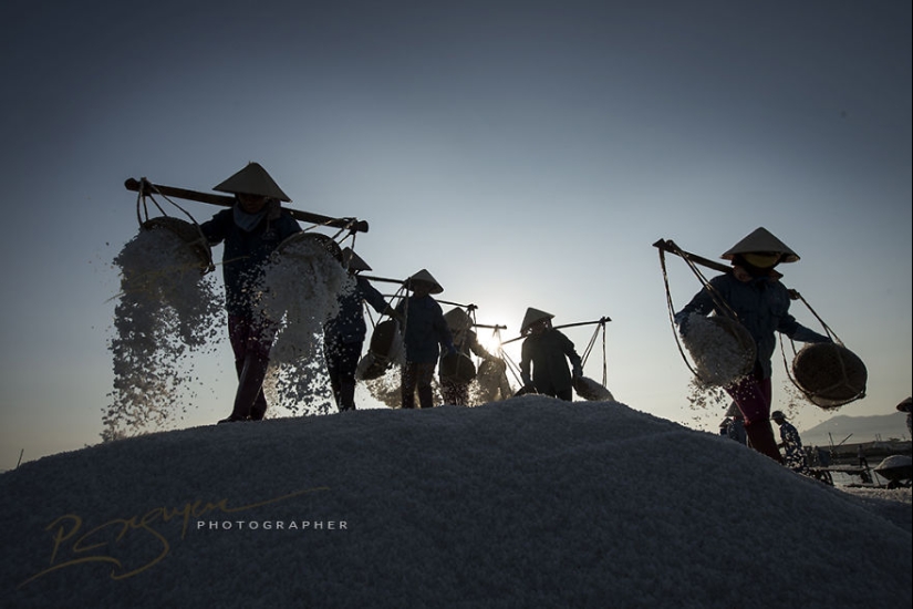 The enchanting beauty of Vietnam The enchanting beauty of Vietnam