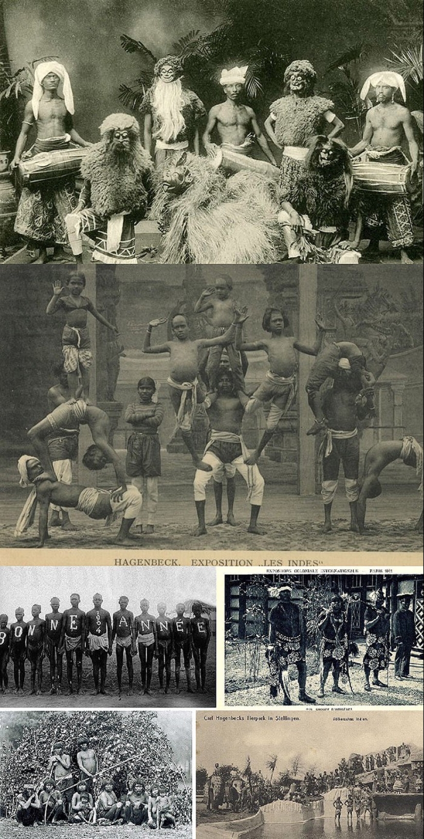 The era of human zoos