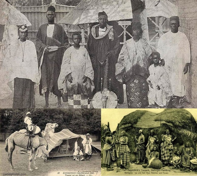 The era of human zoos