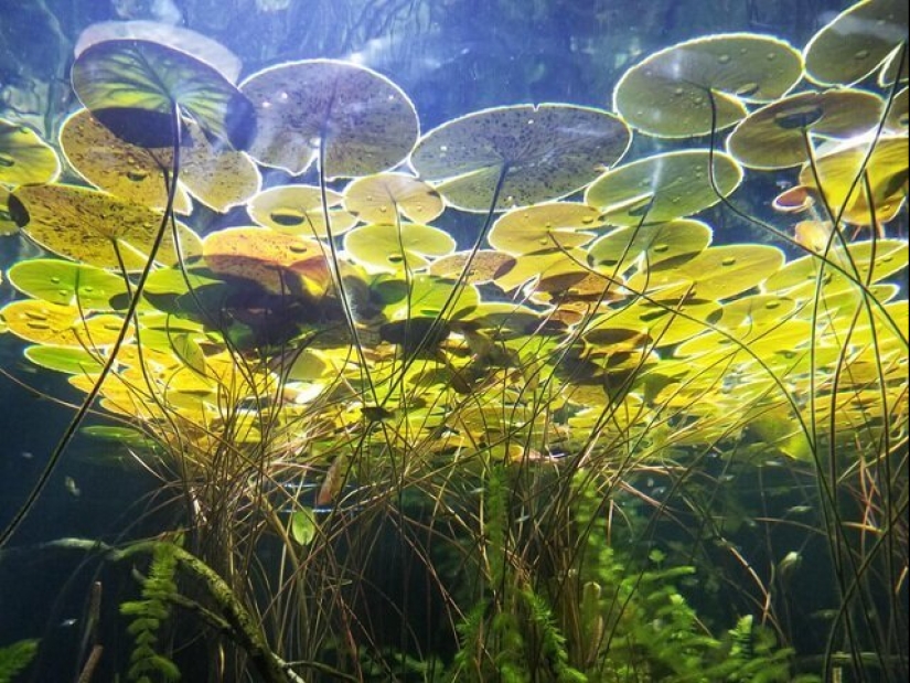 The familiar world shown with an unusual angle