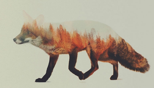 The forest is inside The forest is inside