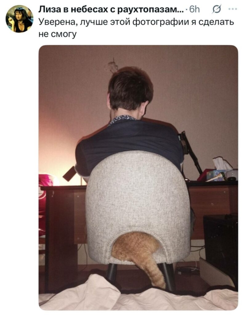 The funniest posts from Twitter users The funniest posts from Twitter users