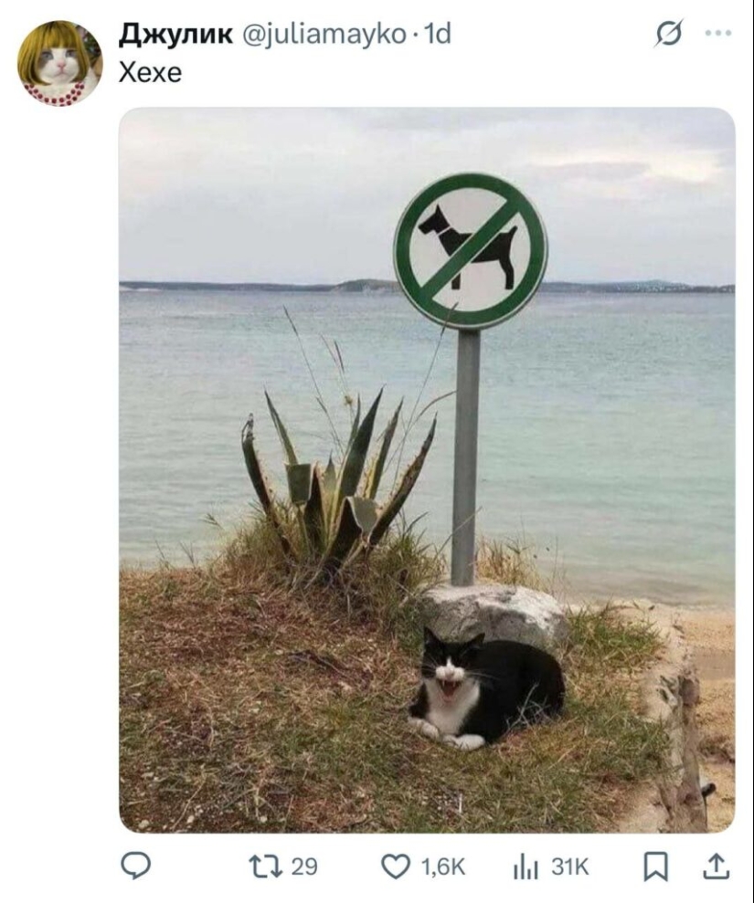 The funniest posts from Twitter users The funniest posts from Twitter users