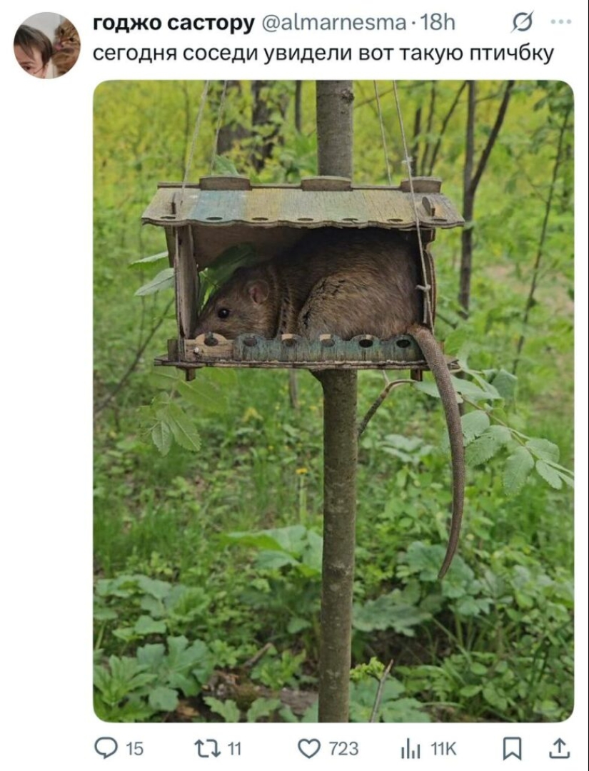 The funniest posts from Twitter users The funniest posts from Twitter users