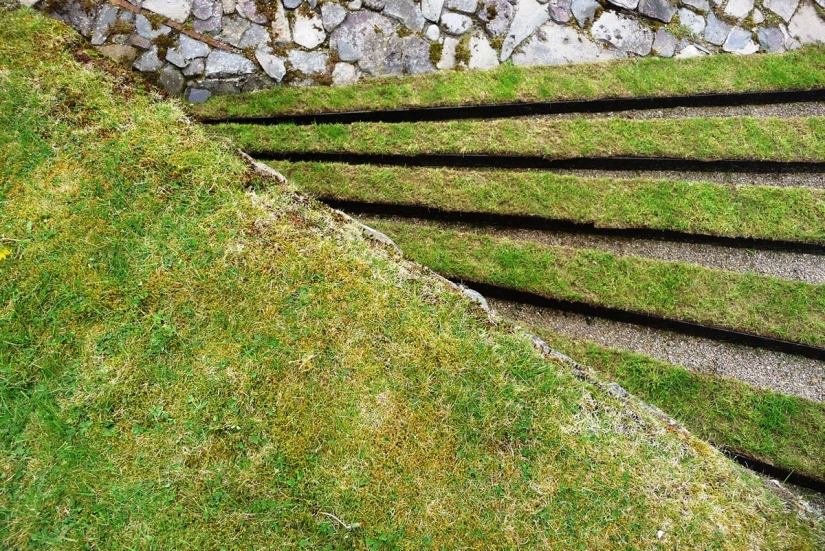 The garden of cosmic speculation Charles Jencks The garden of cosmic speculation Charles Jencks