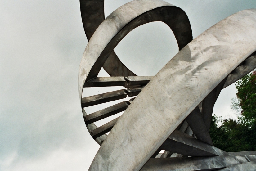 The garden of cosmic speculation Charles Jencks The garden of cosmic speculation Charles Jencks