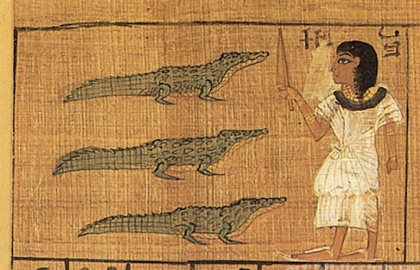 The heart of a crocodile, the hornet's sting and radiation: how to treat impotence in different eras The heart of a crocodile, the hornet's sting and radiation: how to treat impotence in different eras