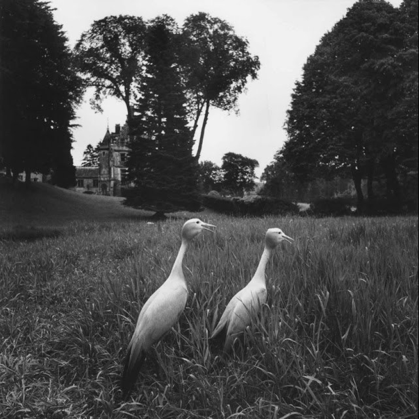 The Heart of France: 30 stunning photos of Paris in the 1930s and 1940s The Heart of France: 30 stunning photos of Paris in the 1930s and 1940s
