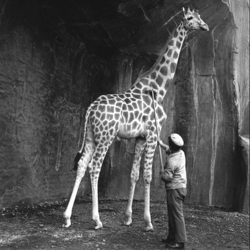 The Heart of France: 30 stunning photos of Paris in the 1930s and 1940s The Heart of France: 30 stunning photos of Paris in the 1930s and 1940s