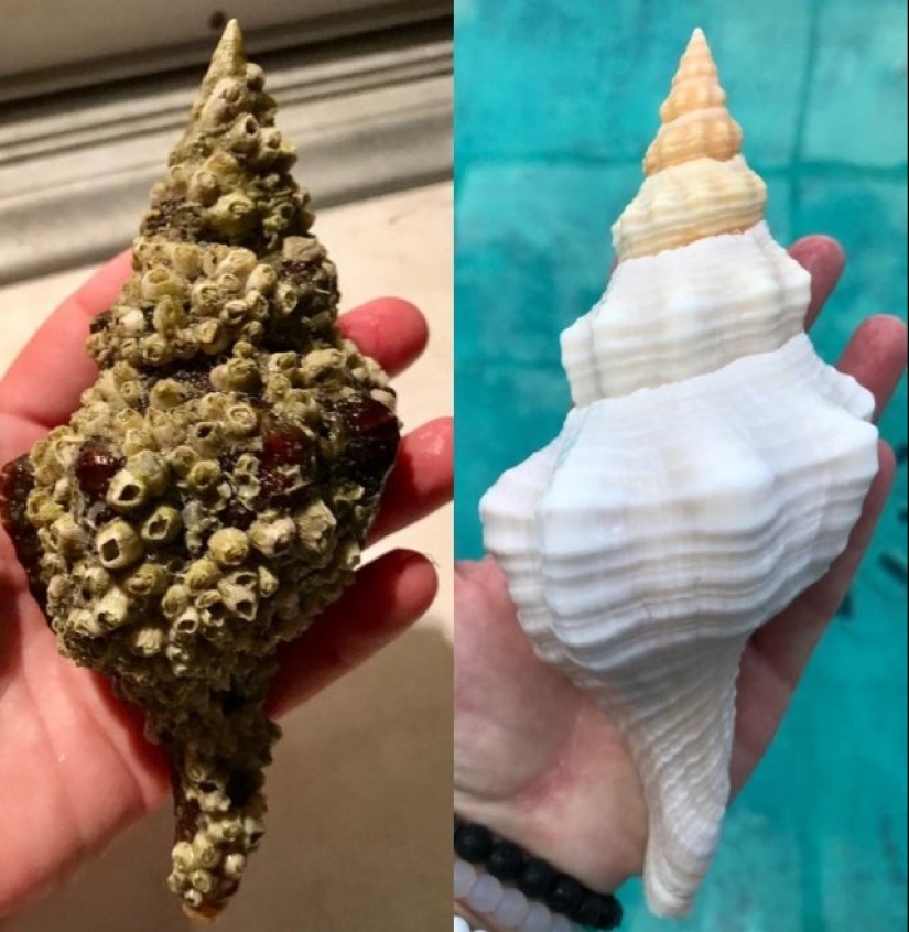 The incredible power of cleanliness: 20 things that became as new after cleaning The incredible power of cleanliness: 20 things that became as new after cleaning