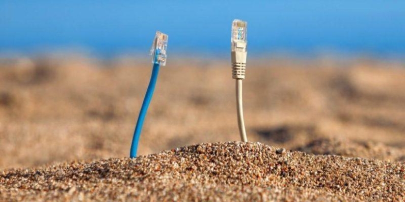 The Internet has to be protected from ... shark attacks The Internet has to be protected from ... shark attacks