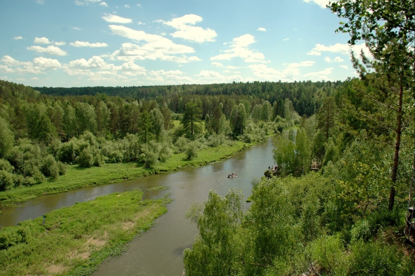The Japanese art of Shinrin-yoku, or How to walk in the forest The Japanese art of Shinrin-yoku, or How to walk in the forest