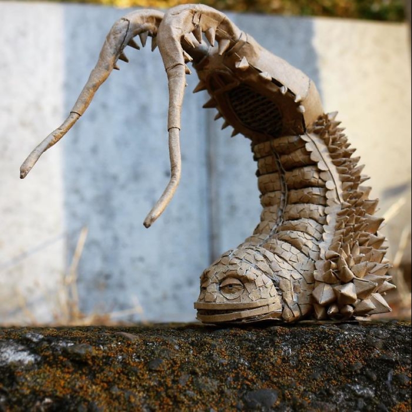 The Japanese woman never throws away cardboard boxes: she finds a better use for them