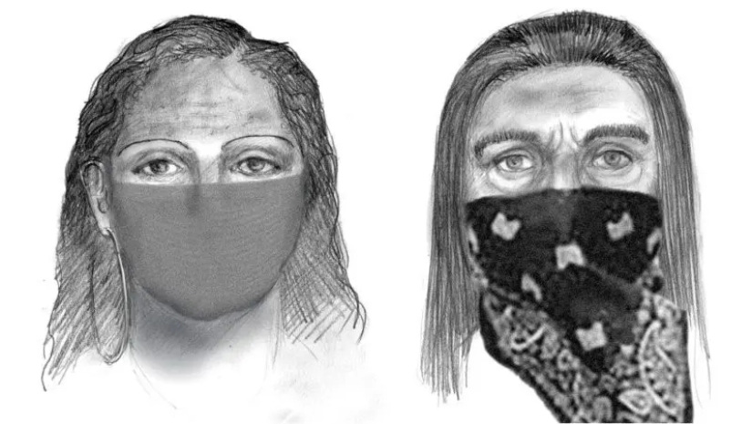 The Kidnapping of Sherry Papini: The Story of a Crime That Never Happened The Kidnapping of Sherry Papini: The Story of a Crime That Never Happened