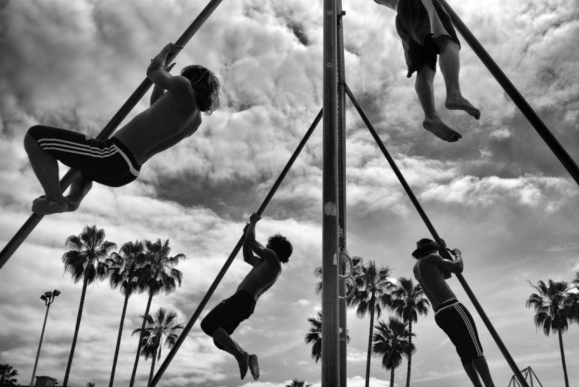 The last days of Bohemian paradise: crazy Venice beach in the lens of an Israeli photographer The last days of Bohemian paradise: crazy Venice beach in the lens of an Israeli photographer
