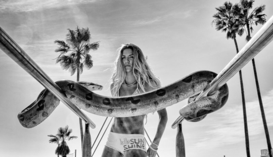 The last days of Bohemian paradise: crazy Venice beach in the lens of an Israeli photographer