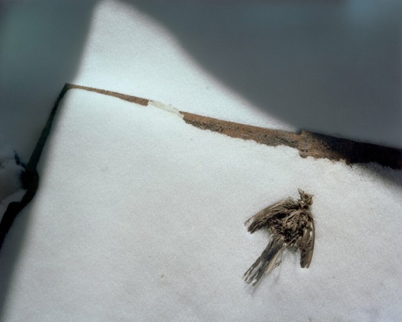 The Last Pagans of Europe, Residents of Mari El through the Eyes of a Japanese Photographer