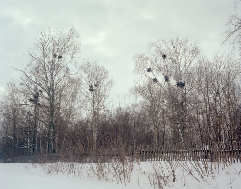 The Last Pagans of Europe, Residents of Mari El through the Eyes of a Japanese Photographer