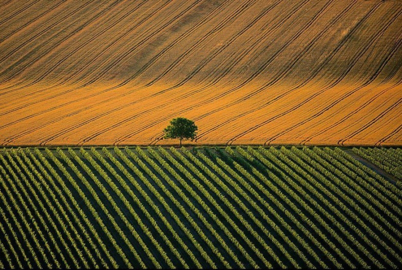 The legendary photo project "Earth seen from the sky"