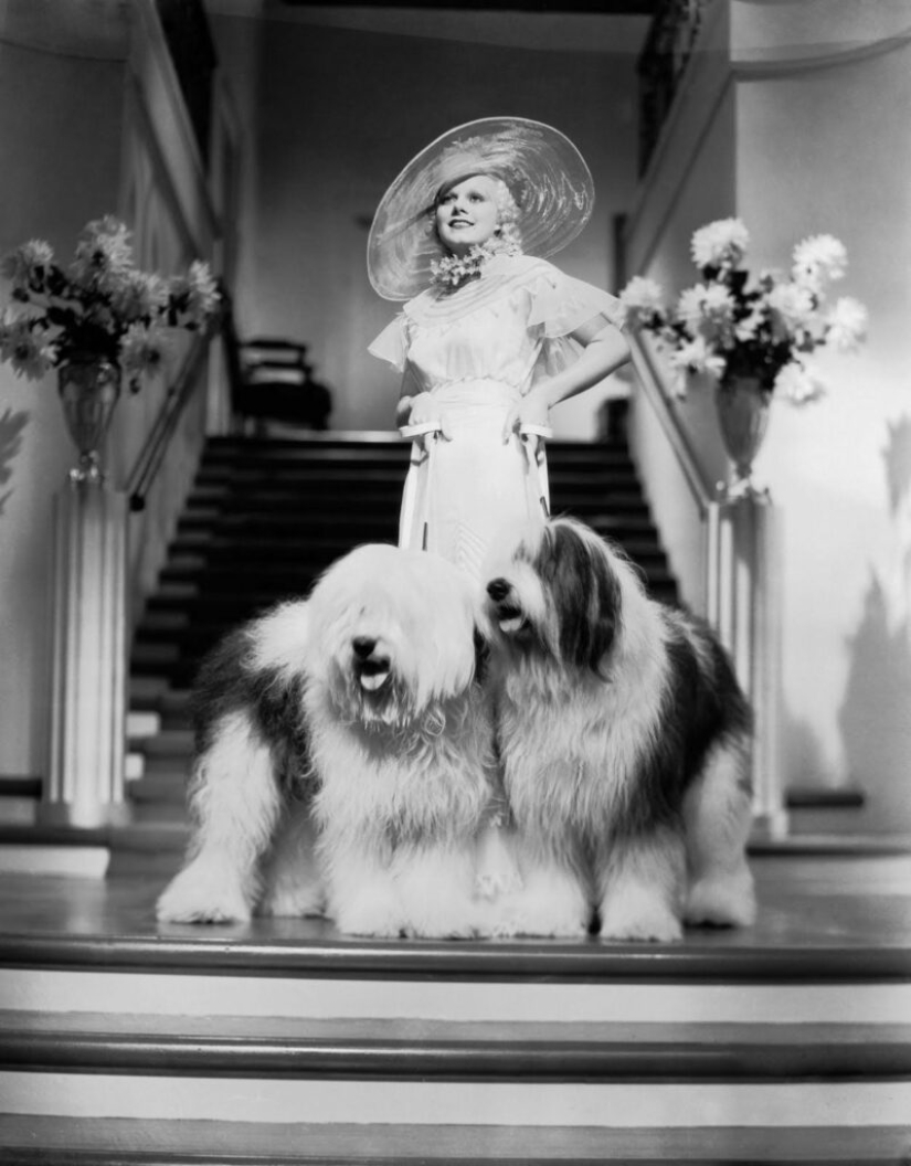 The Life and Death of Jean Harlow, Hollywood's First Platinum Blonde The Life and Death of Jean Harlow, Hollywood's First Platinum Blonde