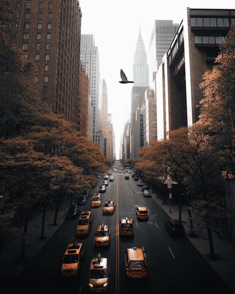 The lights of the Big Apple: an unusual look at new York