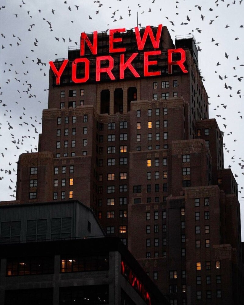 The lights of the Big Apple: an unusual look at new York