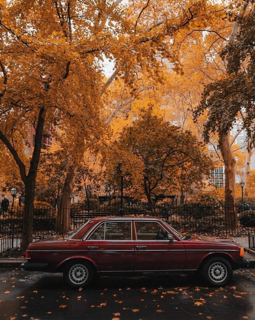 The lights of the Big Apple: an unusual look at new York