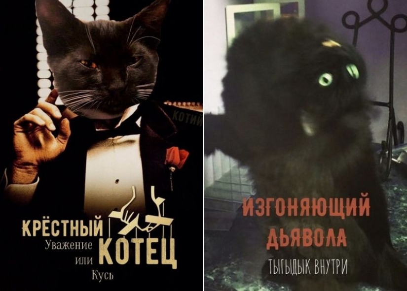 The Lord gets the last of the trays Kus! Posters of box office hits with cats in the lead roles The Lord gets the last of the trays Kus! Posters of box office hits with cats in the lead roles