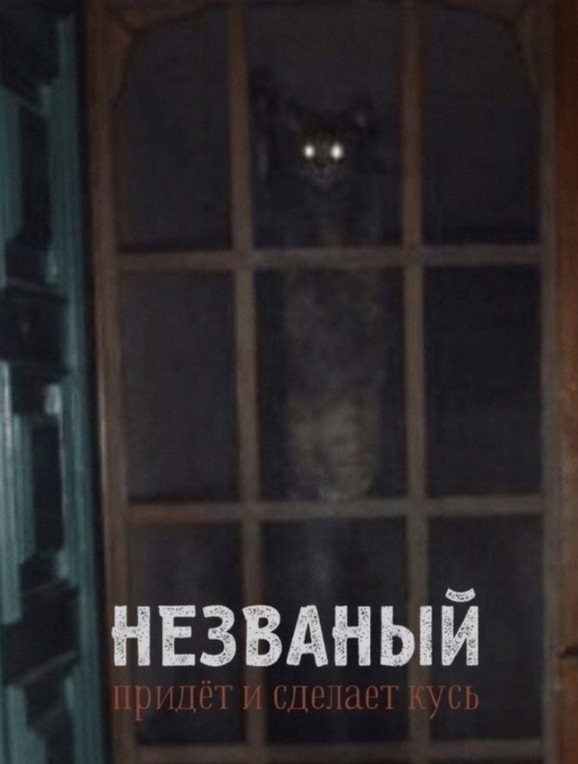 The Lord gets the last of the trays Kus! Posters of box office hits with cats in the lead roles The Lord gets the last of the trays Kus! Posters of box office hits with cats in the lead roles