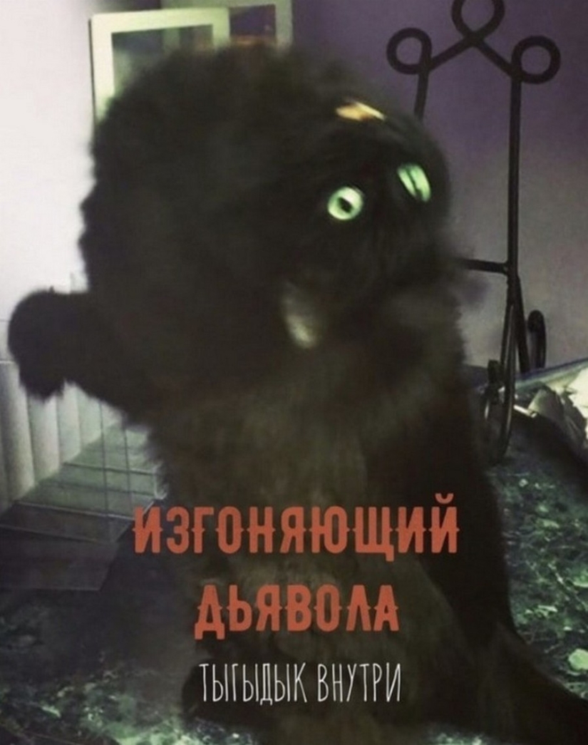 The Lord gets the last of the trays Kus! Posters of box office hits with cats in the lead roles The Lord gets the last of the trays Kus! Posters of box office hits with cats in the lead roles