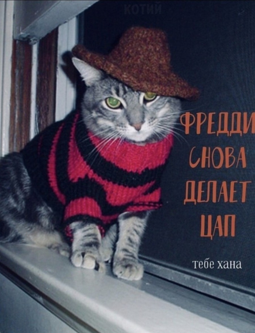 The Lord gets the last of the trays Kus! Posters of box office hits with cats in the lead roles The Lord gets the last of the trays Kus! Posters of box office hits with cats in the lead roles