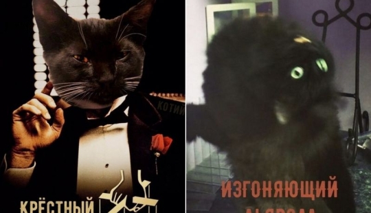 The Lord gets the last of the trays Kus! Posters of box office hits with cats in the lead roles The Lord gets the last of the trays Kus! Posters of box office hits with cats in the lead roles