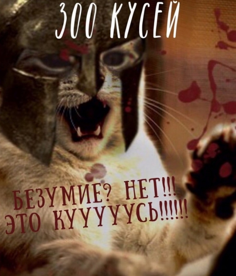 The Lord gets the last of the trays Kus! Posters of box office hits with cats in the lead roles The Lord gets the last of the trays Kus! Posters of box office hits with cats in the lead roles