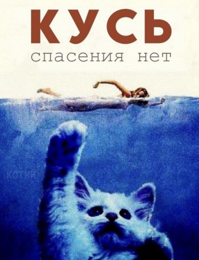 The Lord gets the last of the trays Kus! Posters of box office hits with cats in the lead roles The Lord gets the last of the trays Kus! Posters of box office hits with cats in the lead roles