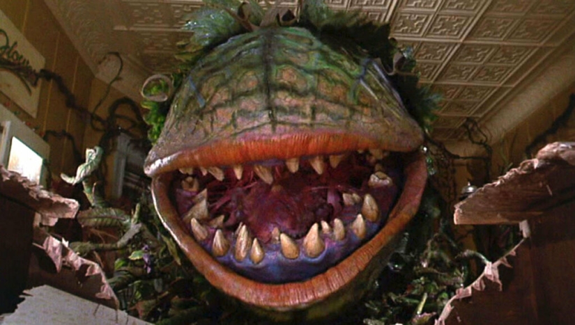 The Man-Eating Trees of Madagascar: Fact or Myth?