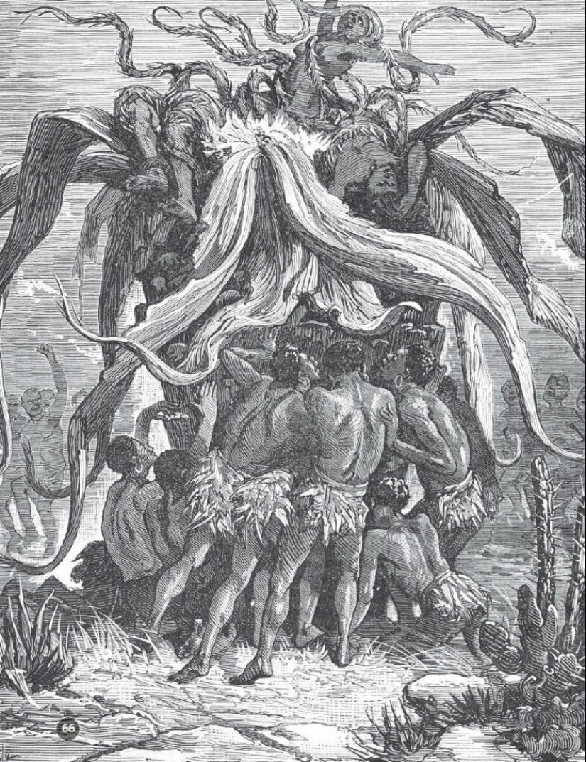 The Man-Eating Trees of Madagascar: Fact or Myth?