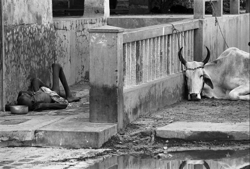 The Man Who Saw It All: How Thomas Hepker Captured History