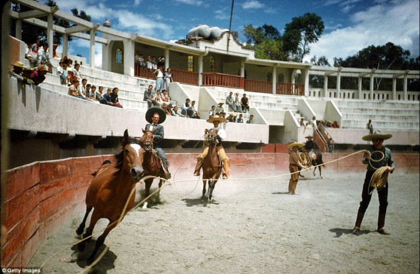 The Mexican Riviera of the 1950s, when Acapulco was not yet the fiefdom of drug dealers The Mexican Riviera of the 1950s, when Acapulco was not yet the fiefdom of drug dealers