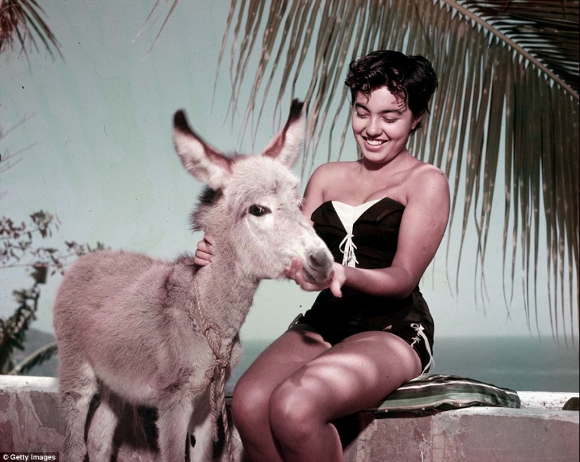 The Mexican Riviera of the 1950s, when Acapulco was not yet the fiefdom of drug dealers The Mexican Riviera of the 1950s, when Acapulco was not yet the fiefdom of drug dealers