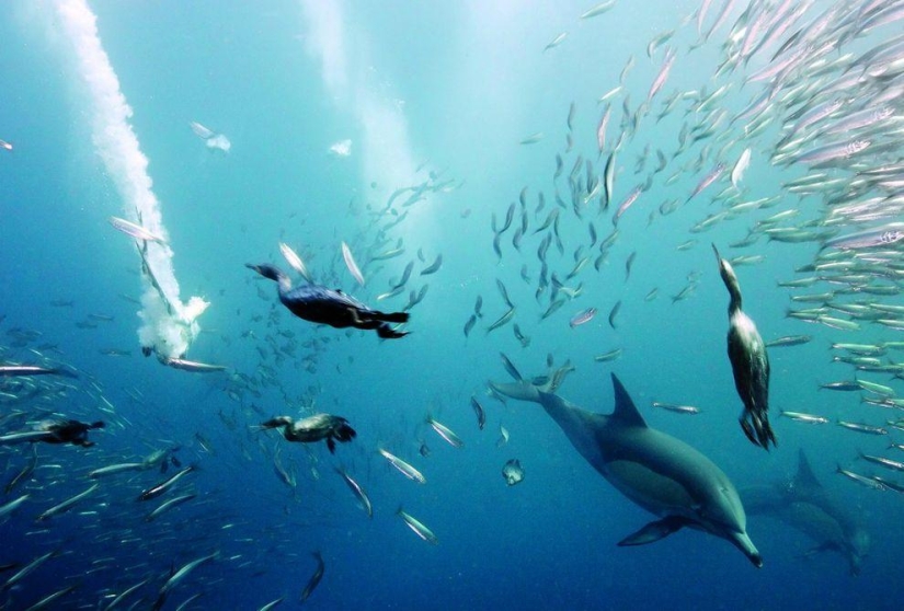 The most beautiful places in the world The most beautiful places in the world