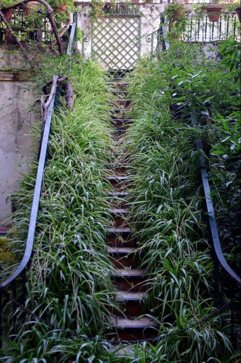 The most beautiful stairs around the world